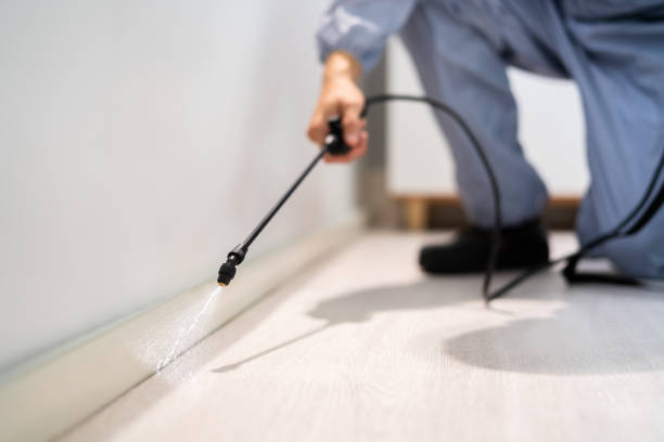Licensed Pest Control service in Summit, IL - Show Me Pest Control
