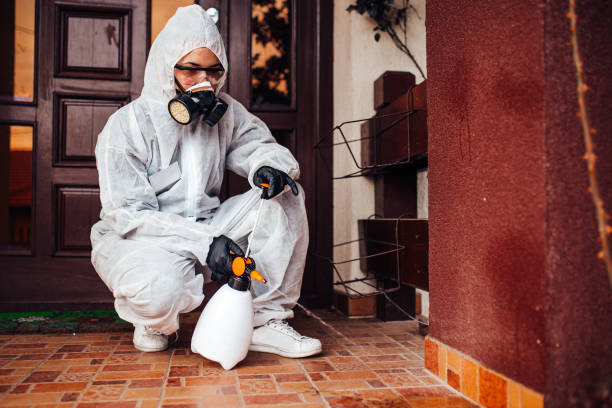 Attic and Crawl Space Rodent Treatment in Summit