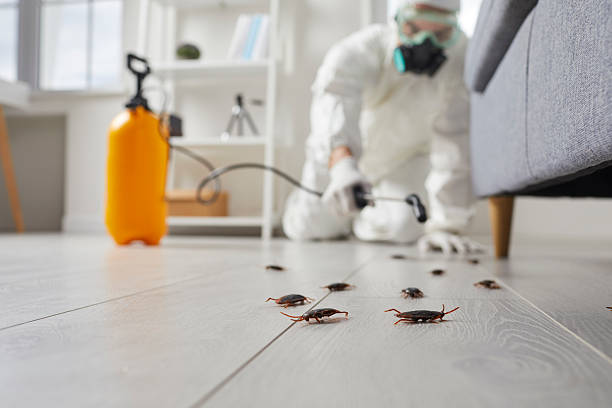 Commercial Rodent Management in Summit